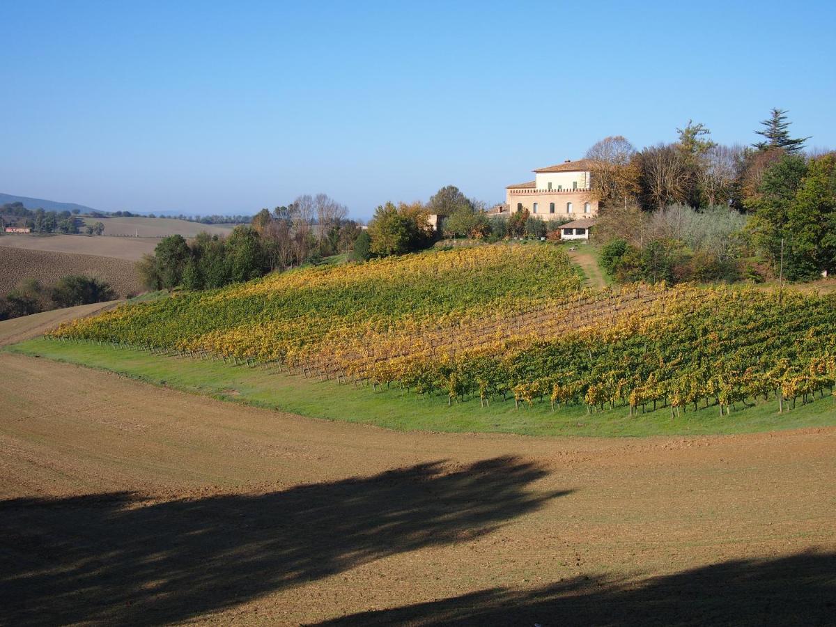 Agriturismo Poggiarellino - Μονταλτσίνο Εξωτερικό φωτογραφία