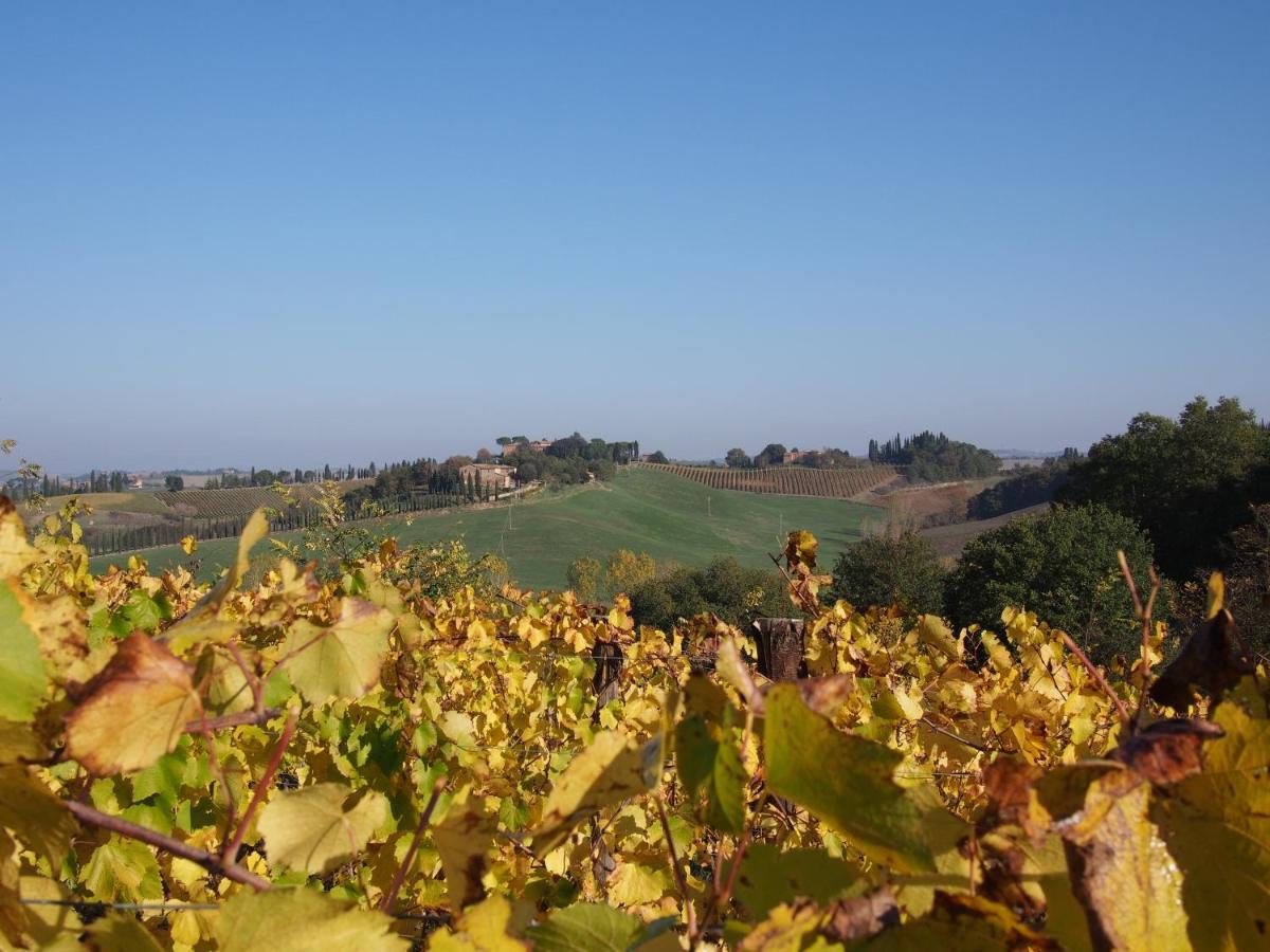 Agriturismo Poggiarellino - Μονταλτσίνο Εξωτερικό φωτογραφία