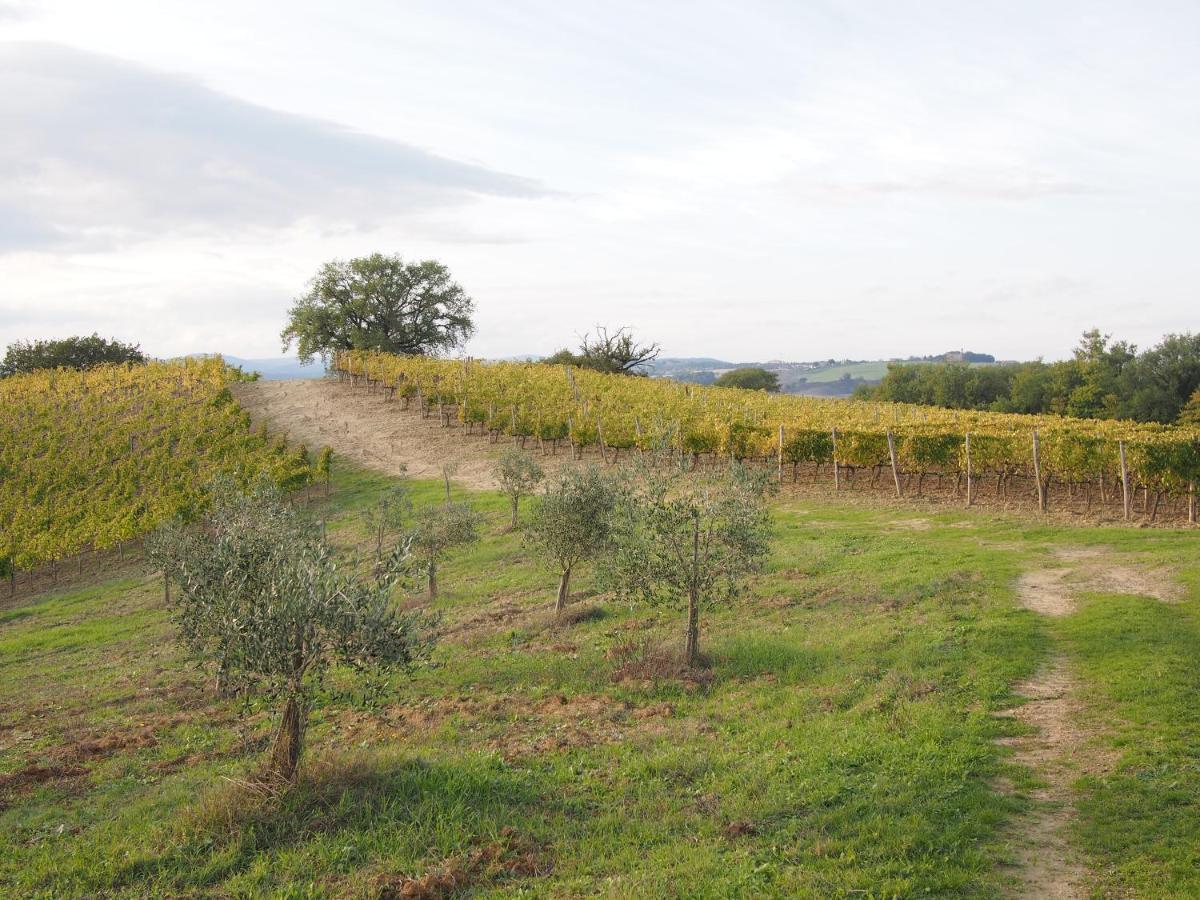 Agriturismo Poggiarellino - Μονταλτσίνο Εξωτερικό φωτογραφία