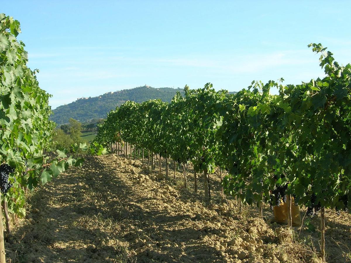 Agriturismo Poggiarellino - Μονταλτσίνο Εξωτερικό φωτογραφία