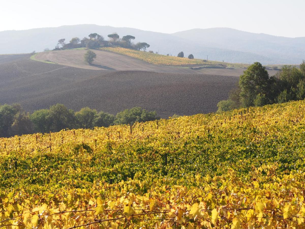 Agriturismo Poggiarellino - Μονταλτσίνο Εξωτερικό φωτογραφία